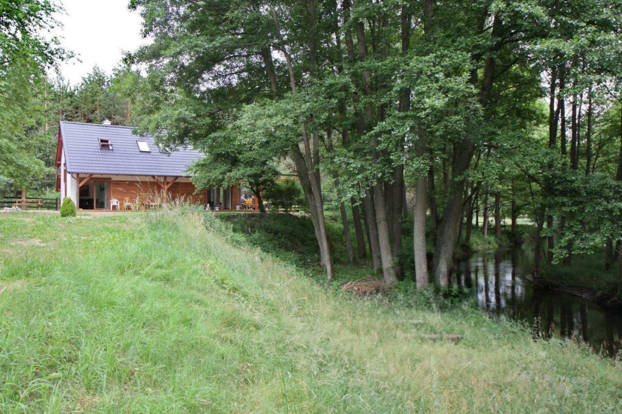 Villa Bobrowa Przystan Czechyn Exterior foto